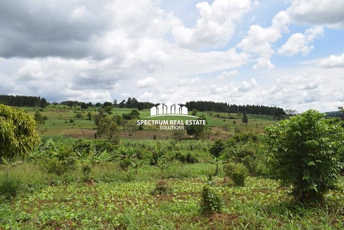 This land for sale in Namulonge, Wakiso District, in the Central Region of Uganda