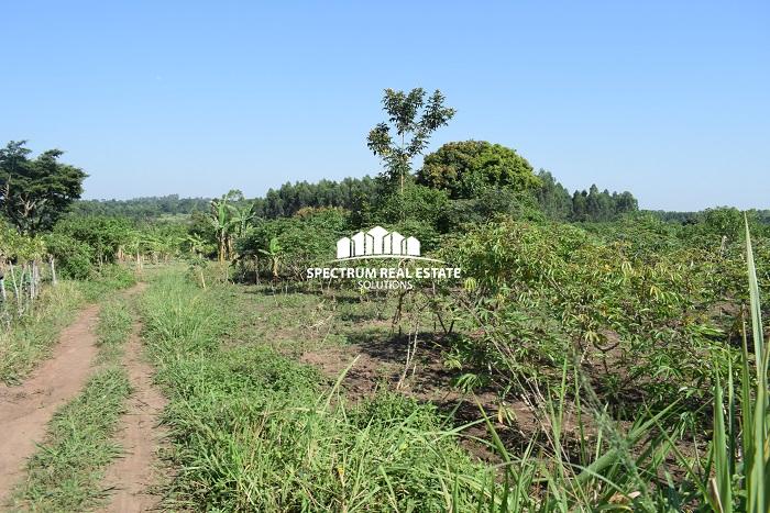 This land for sale in Nakaseke District Uganda