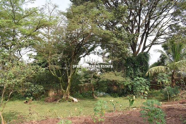 This land for sale in Kisugu Muyenga Kampala Uganda