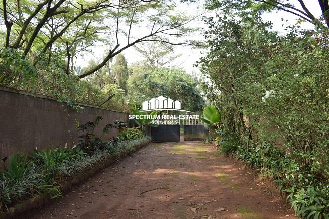 This land for sale in Kisugu Muyenga Kampala Uganda