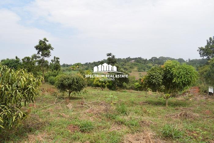 This land for sale in Semuto Matugga Uganda