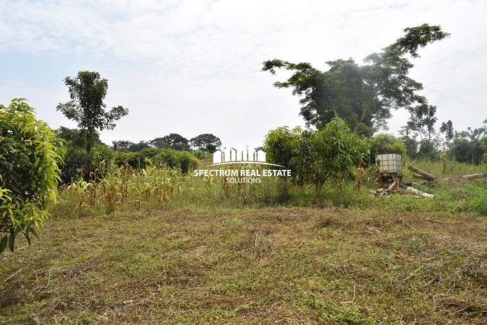 This land for sale in Semuto Matugga Uganda