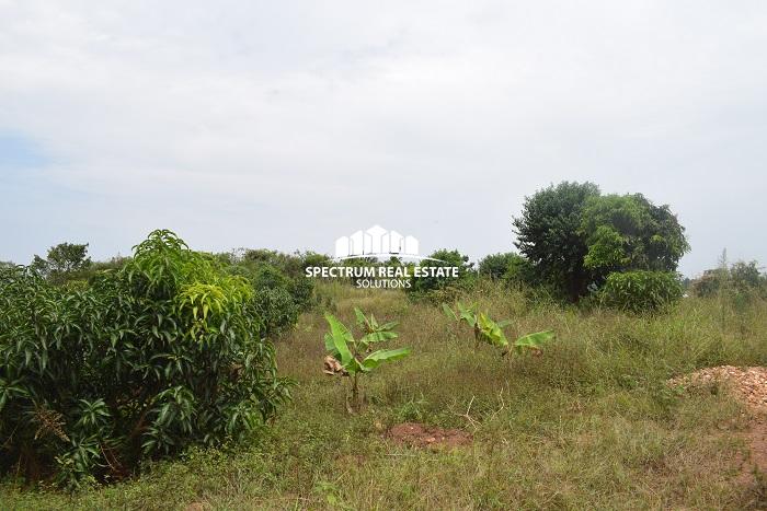 This land for sale in Semuto Matugga Uganda