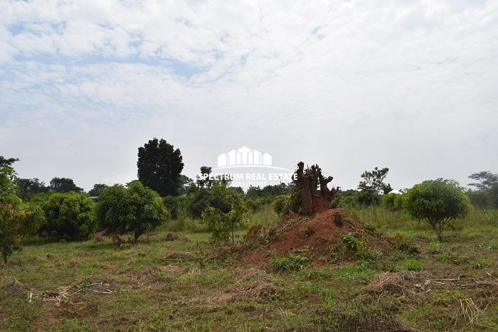 This land for sale in Semuto Matugga Uganda