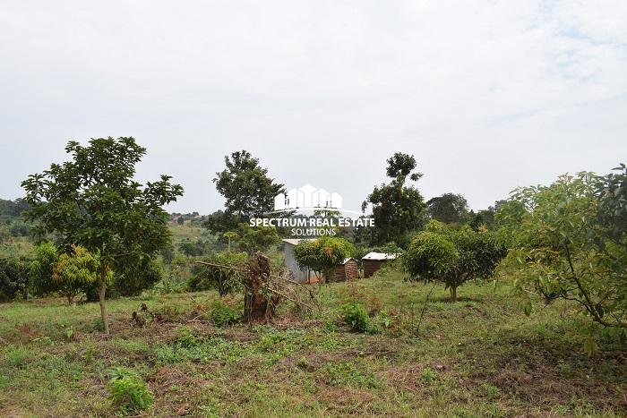 This land for sale in Semuto Matugga Uganda