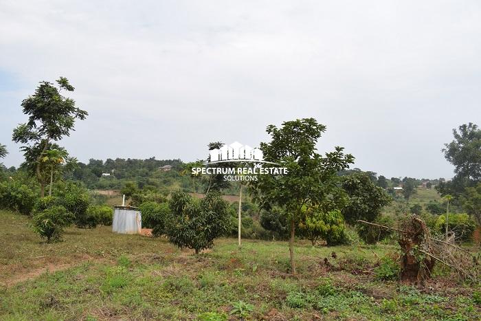 This land for sale in Semuto Matugga Uganda