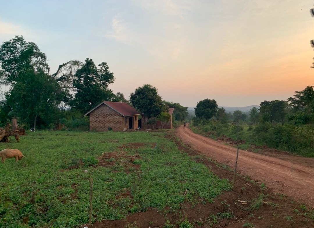 Cheap plots for sale in Nakasajja Gayaza Uganda