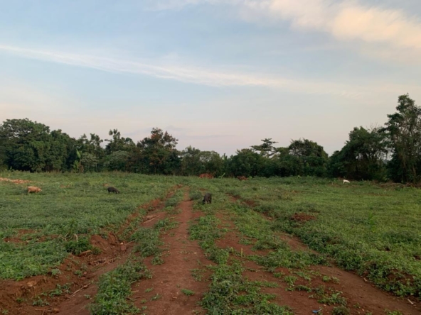Cheap plots for sale in Nakasajja Gayaza Uganda