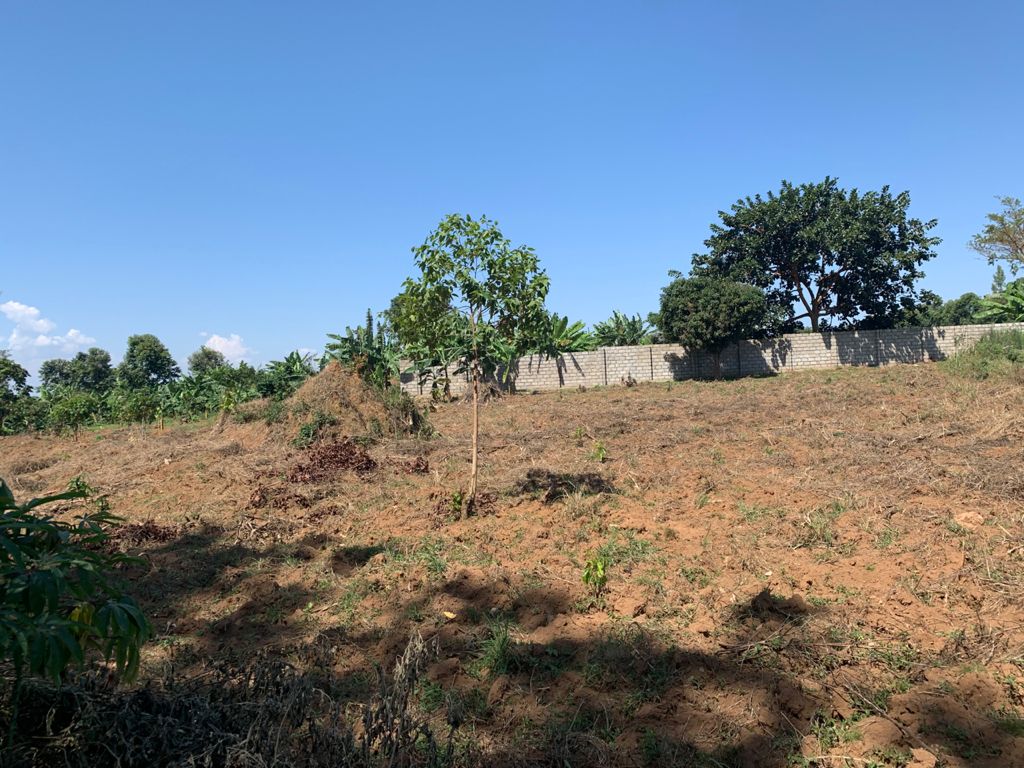 LAND FOR SALE ON ENTEBBE ROAD Spectrum Real Estate Solutions