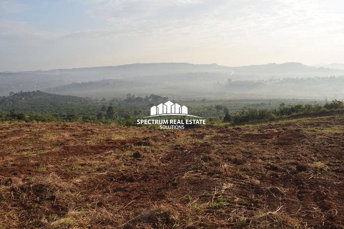 This land for sale in Sisa Uganda