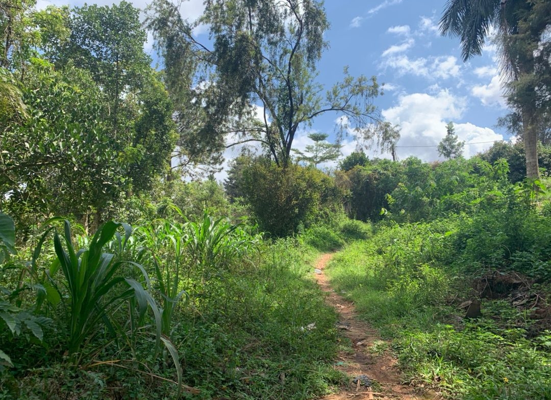 Land for sale Location: masooli 3.1 acres 500m per acre 1.45 acres @1.2bn negotiable 2km from main Gayaza rd