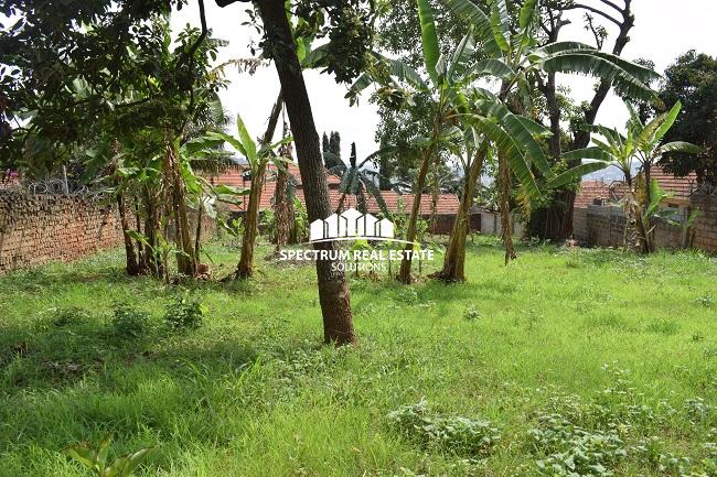 This land for sale in Muyenga Kampala Uganda