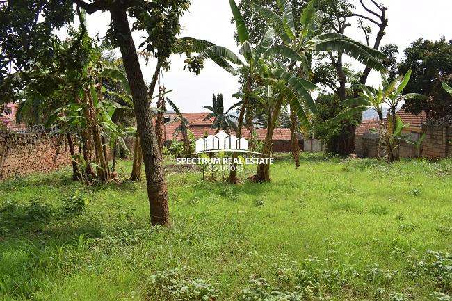 This land for sale in Muyenga Kampala Uganda