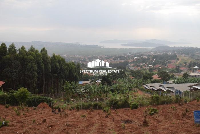 These plots for sale in Kigo Kampala Uganda