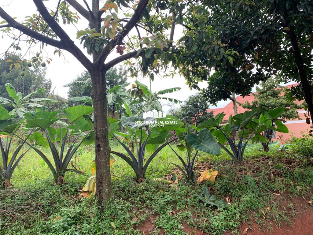 This plot for quick sale in Bukoto Kampala