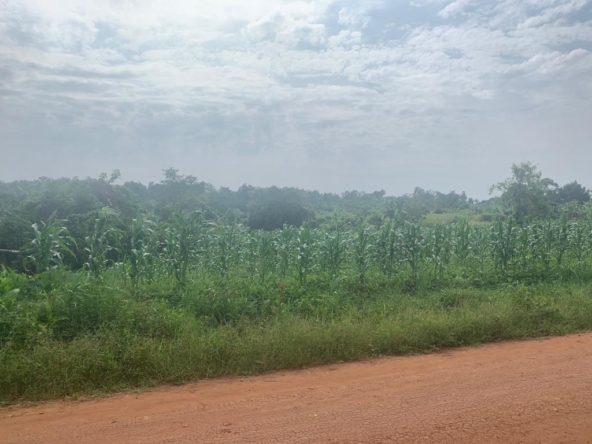 This land for sale in Busika Uganda