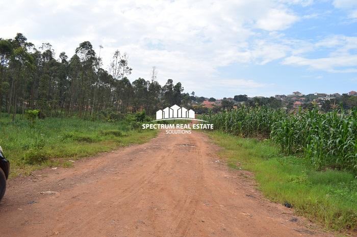 This 49 Acres land for sale in Sentema Wakiso district Uganda