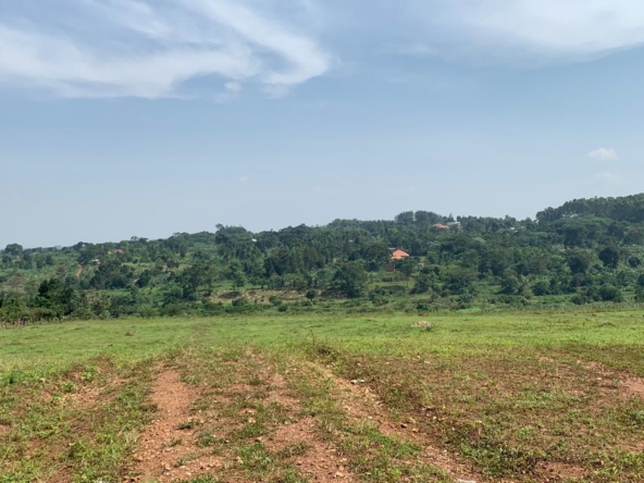 Cheap plots for sale on Masaka road