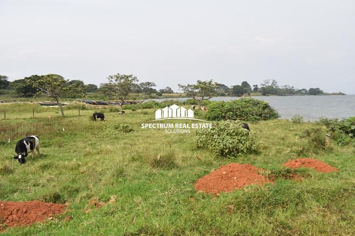 Land for sale in Garuga Near Pearl Marina Uganda