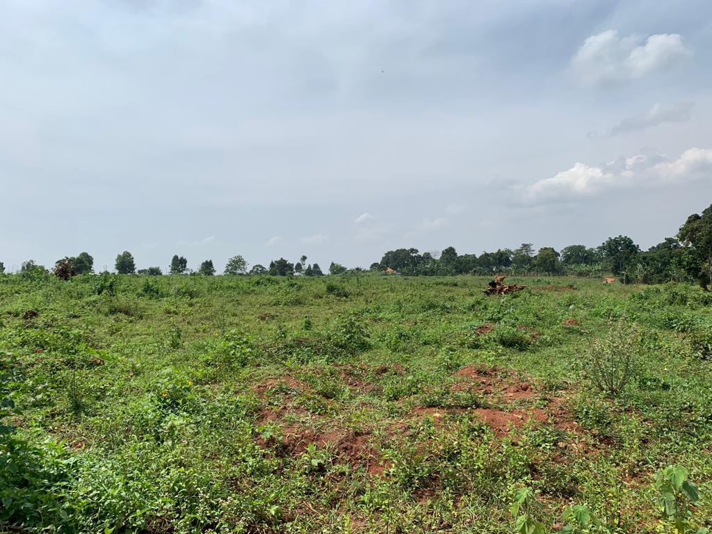 These cheap plots for sale on Entebbe road Uganda