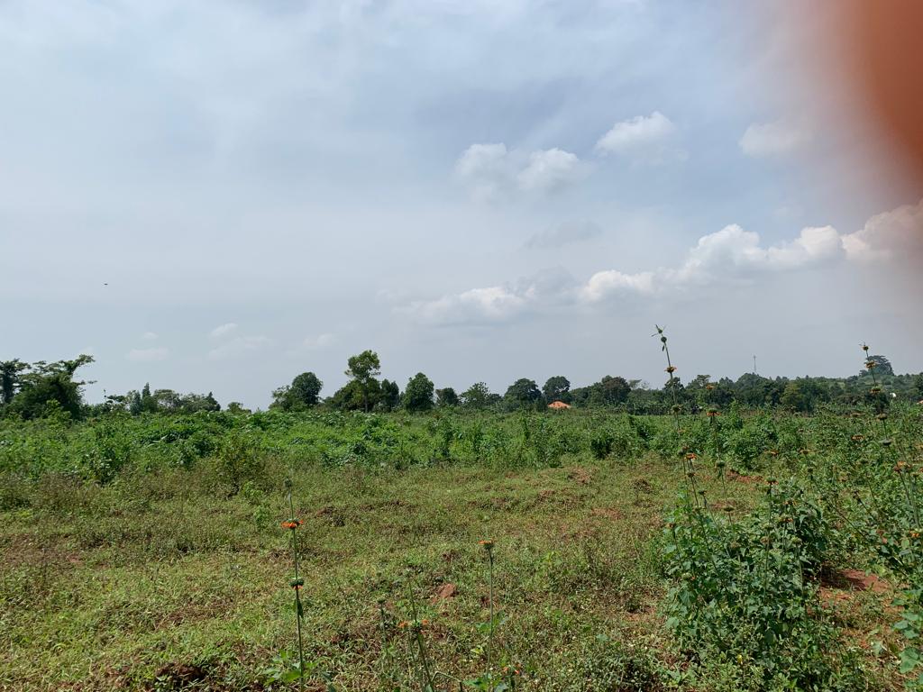 These cheap plots for sale on Entebbe road Uganda