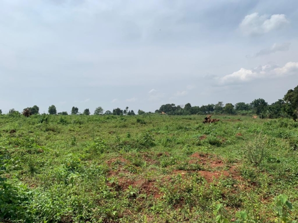 These plots for sale in Gayaza- Kalagi road Uganda