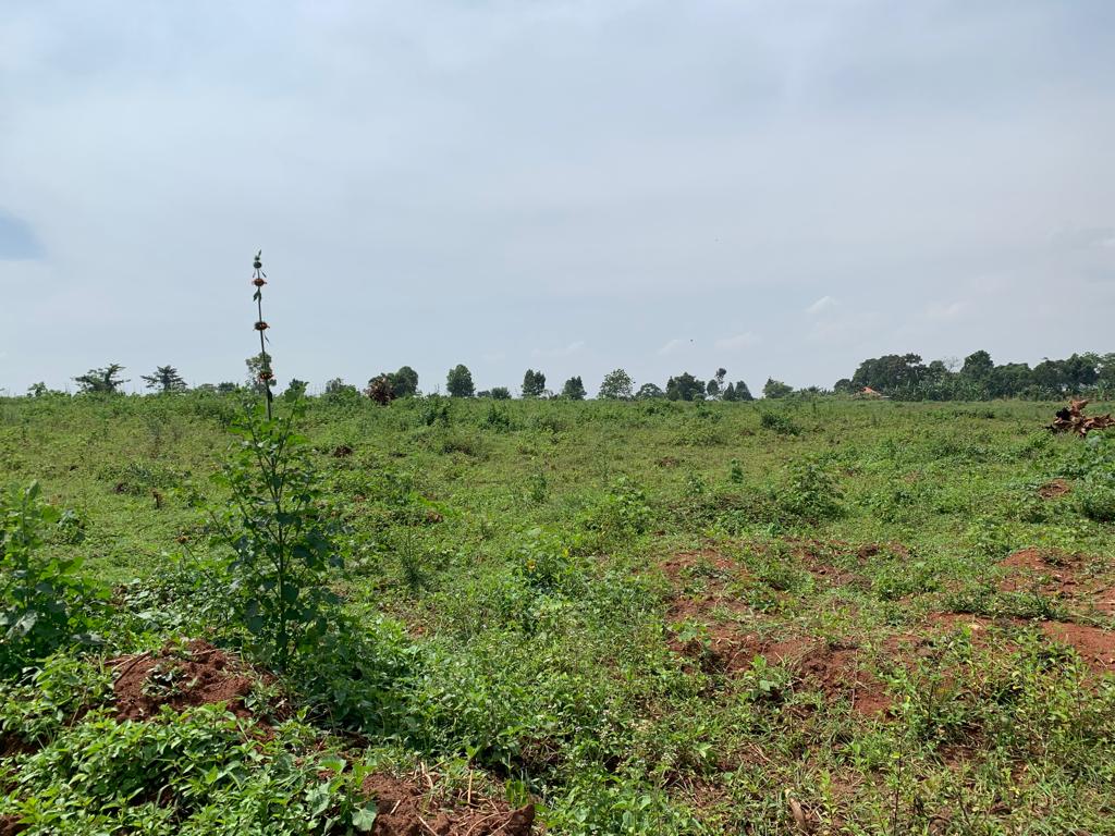 These plots for sale in Gayaza- Kalagi road Uganda