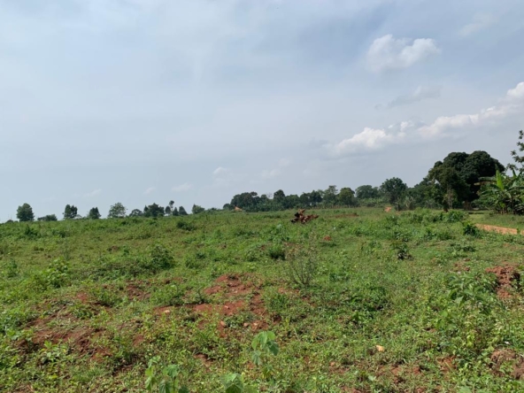 These 50by100 plots for quick sale on Hoima road Uganda
