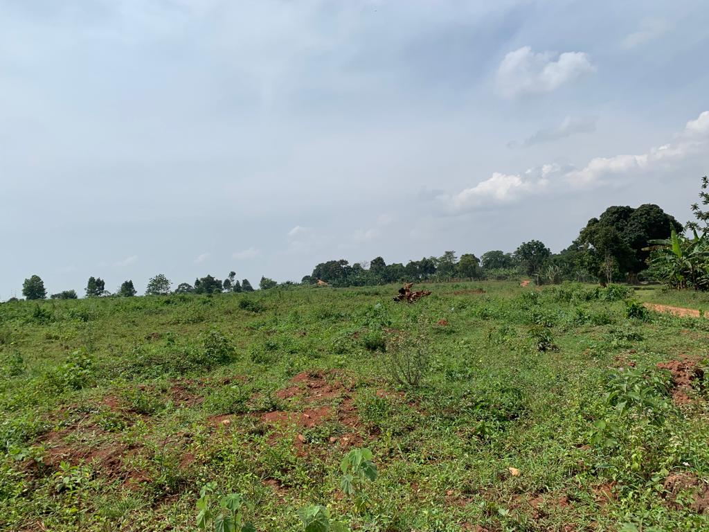 50BY100 PLOTS FOR SALE ON HOIMA ROAD – Spectrum Real Estate Solutions