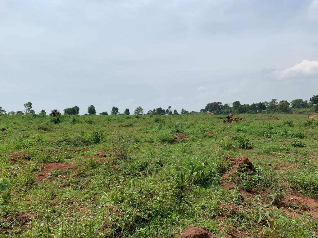 These 50by100 plots for quick sale on Hoima road Uganda