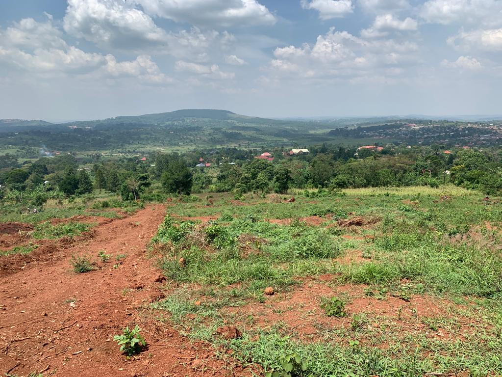 These cheap plots for sale in Katosi Mukono