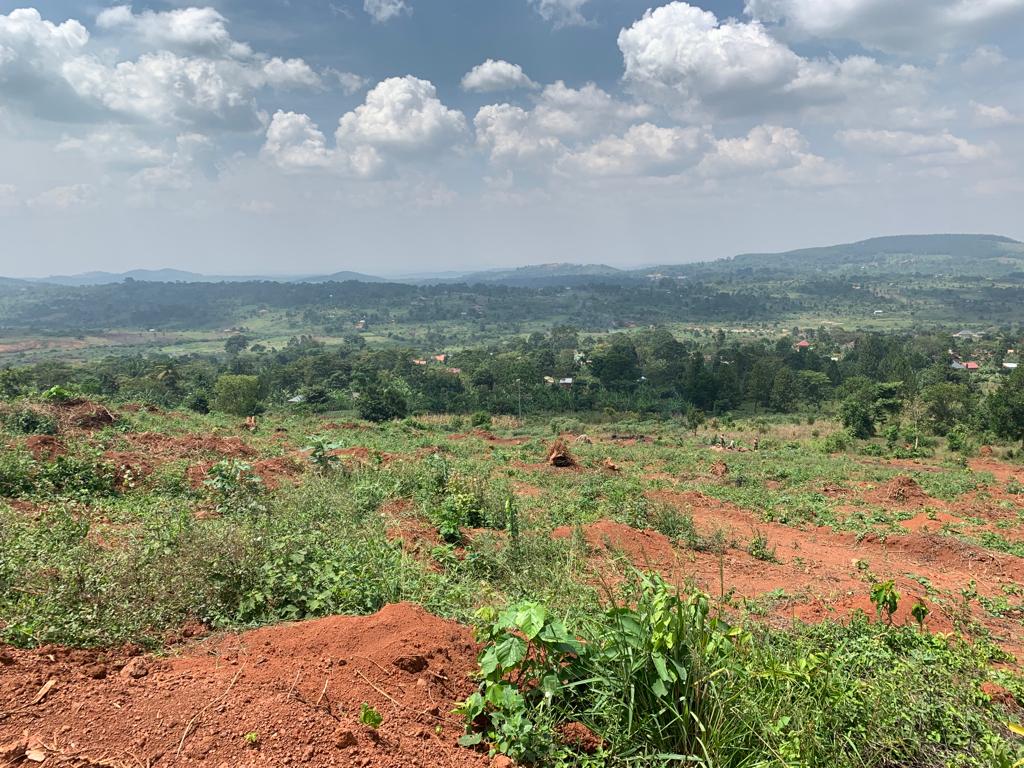 These cheap plots for sale in Katosi Mukono