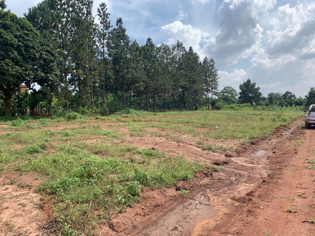 These cheap plots for sale in Sonde Uganda