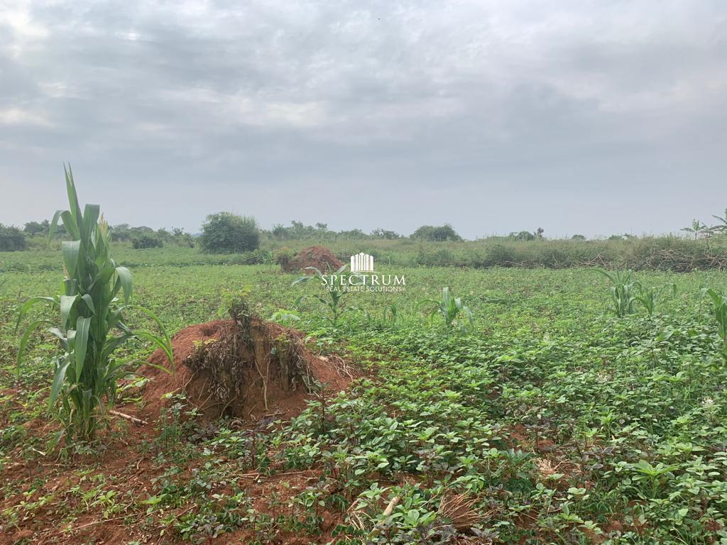 4 ACRES FOR SALE IN KIRA-KITUKUTWE (BUWAVA)