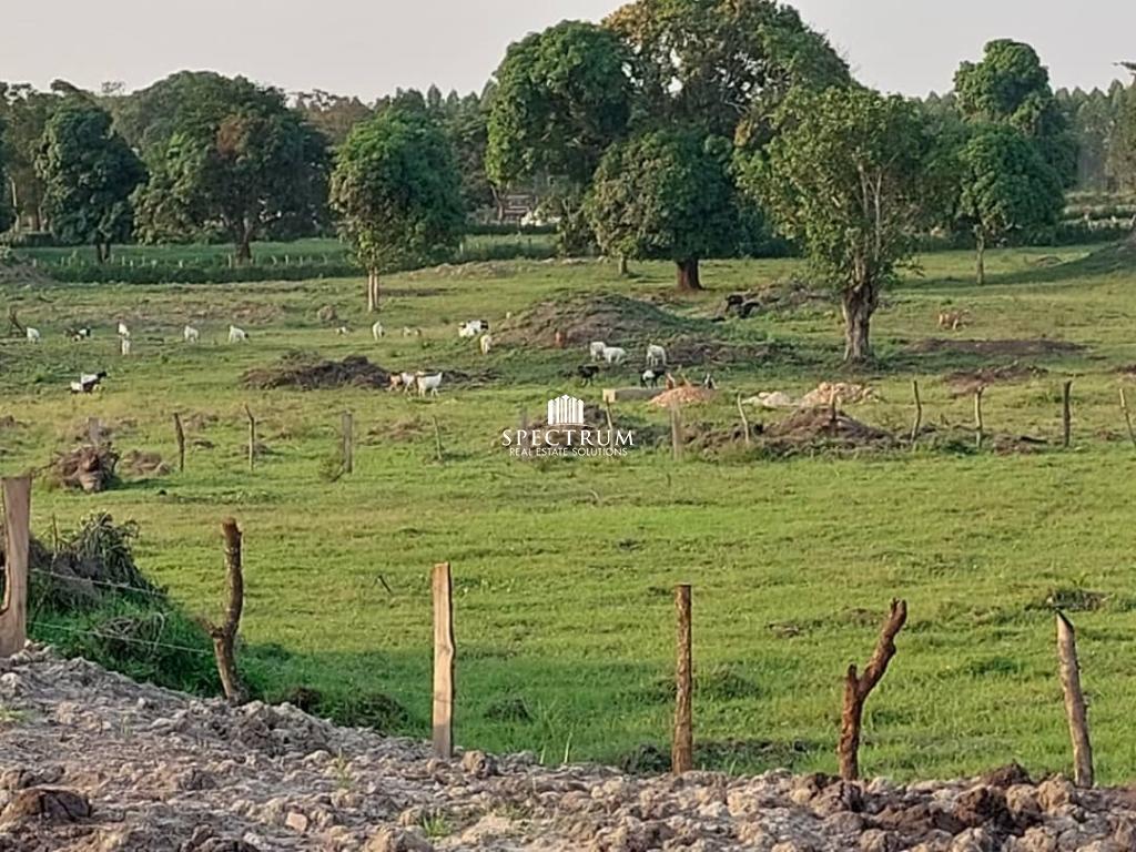 Agricultural land for sale in Uganda Spectrum Real Estate Solutions