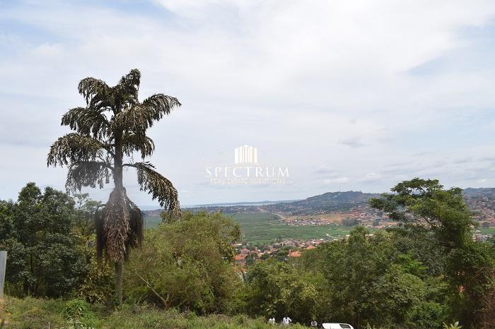This land for sale in Buziga hill Kampala