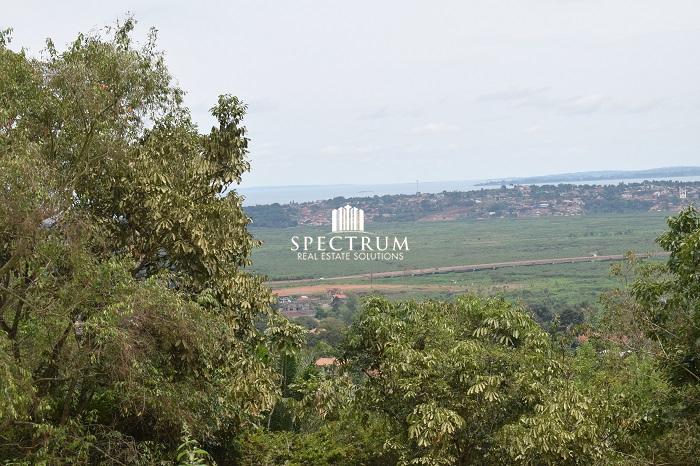 This land for sale in Buziga hill Kampala