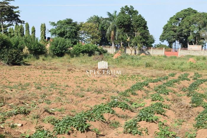 This land is for sale in Garuga near Pearl Marina Estate