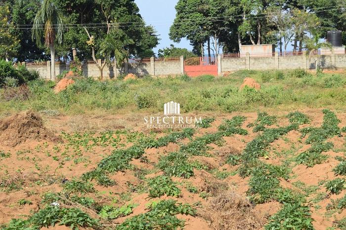 This land is for sale in Garuga near Pearl Marina Estate
