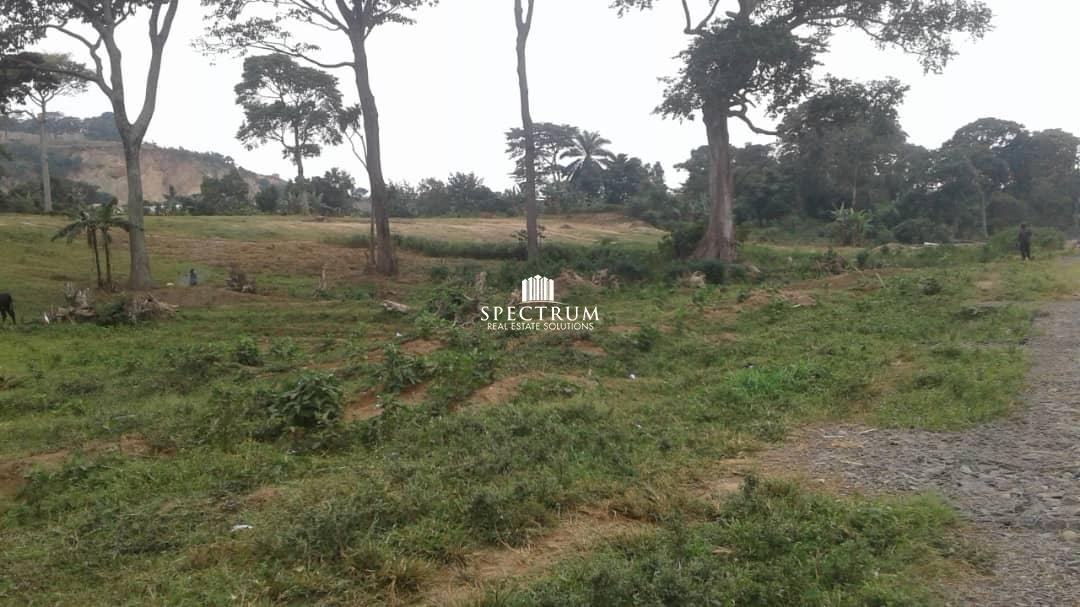 These 4 Acres for sale in Nkumba Entebbe road