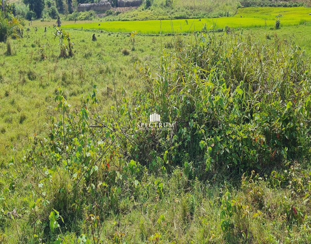 This land for sale in Nkokonjeru Buikwe District