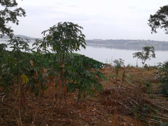 This land for sale on Entebbe road Uganda
