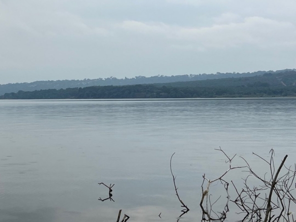 This land for sale on Ssese Island Kalangala District