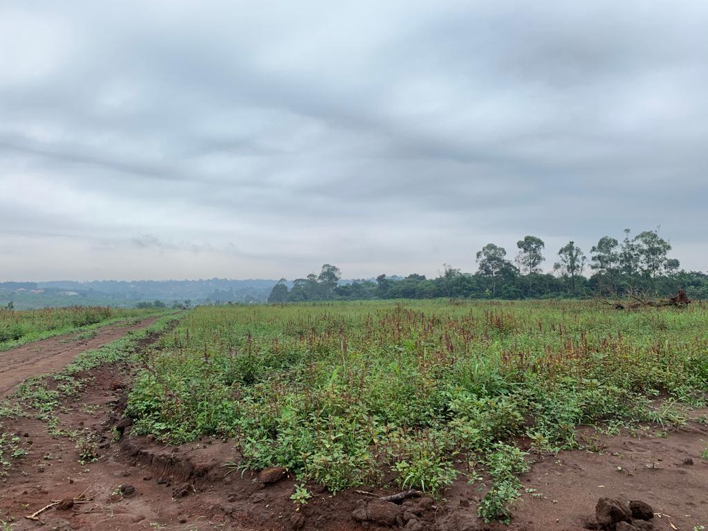 These plots for sale in Matugga Uganda