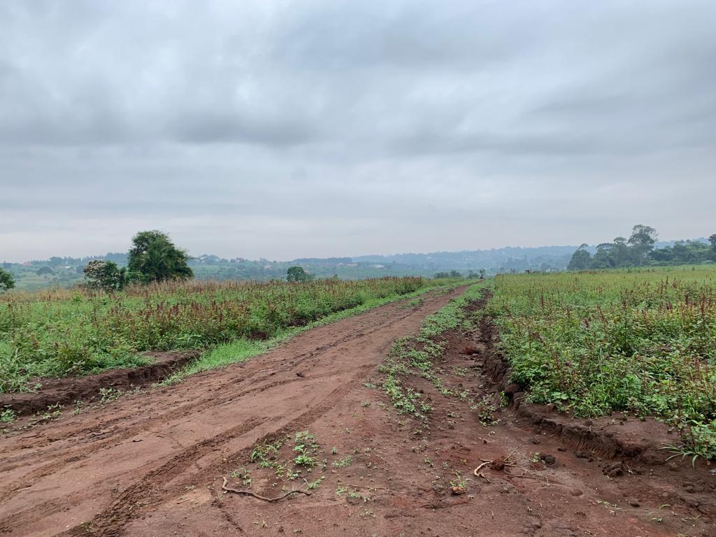 These plots for sale in Matugga Uganda