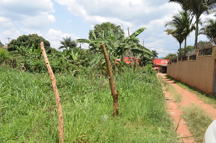 These plots of land for sale in Munyonyo Kampala