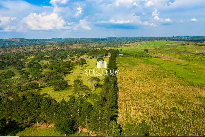Kasanda FARM FOR SALE KASANDA - Spectrum Real Estate Solutions