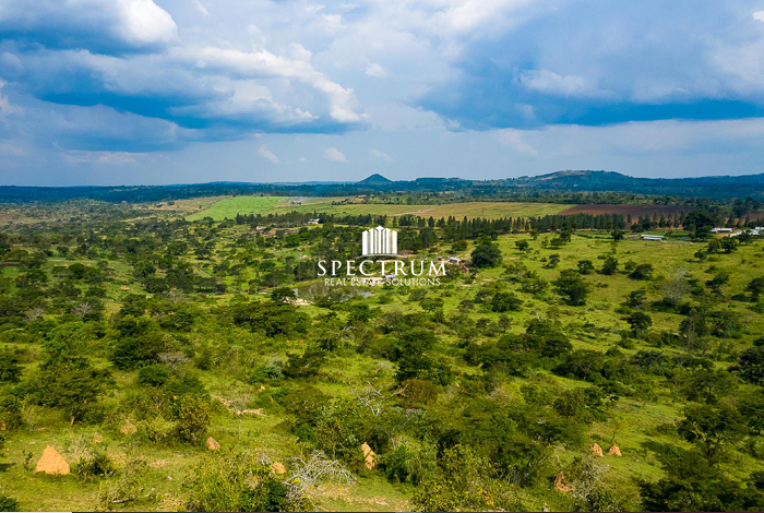 Kasanda FARM FOR SALE KASANDA - Spectrum Real Estate Solutions