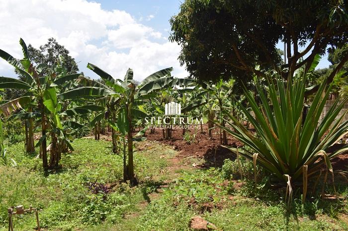 These plots for sale in Munyonyo Kampala