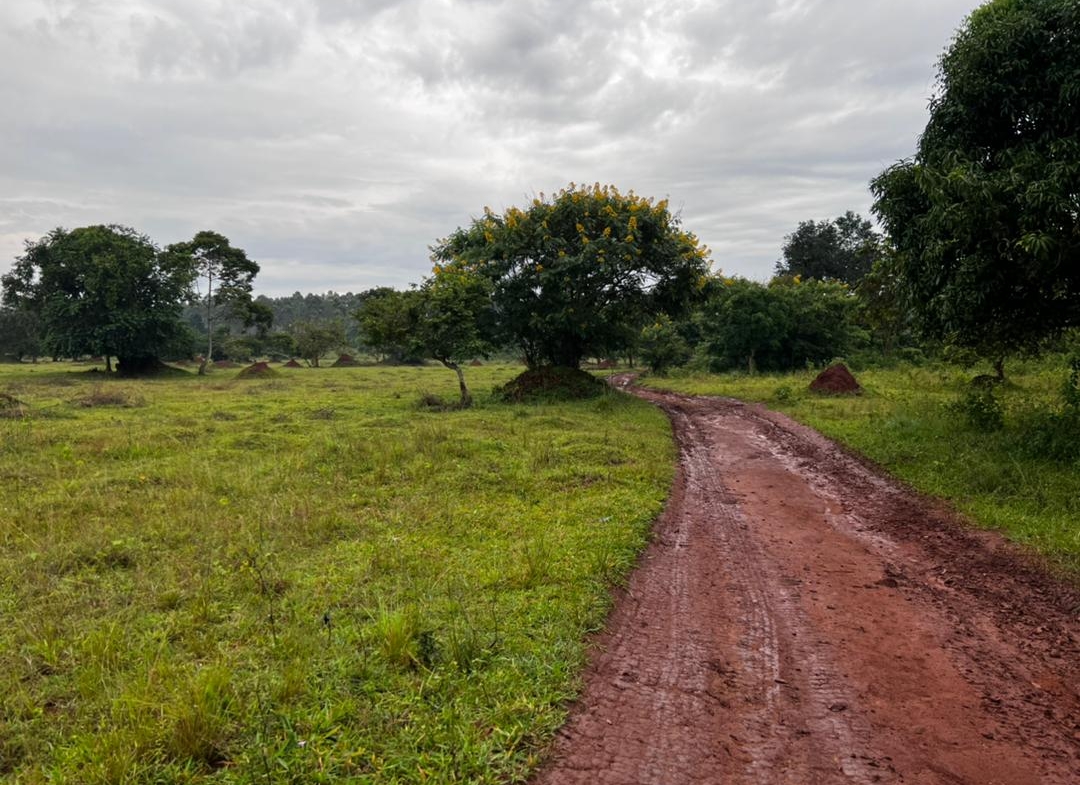 This land for sale in Buwama on Masaka road Uganda